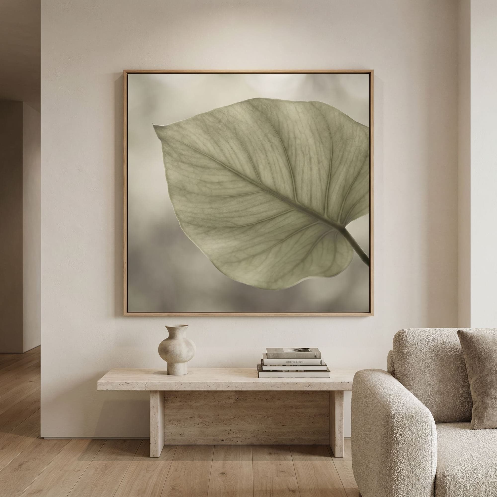 צל עלה בודד